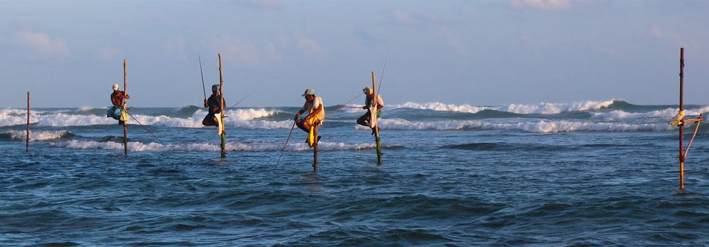 Stilt Fishing wonder full seen in South Coast. You can visit with Dee Lanka Tours